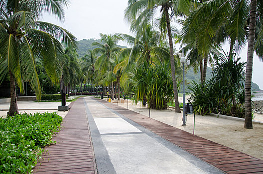 xổ số minh ngọc trực tiếp hôm nay