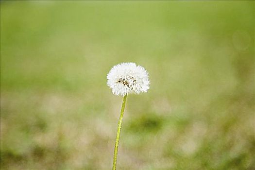 trực tiếp xổ số miền nam hôm nay