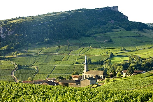 cau lo ve ca cap